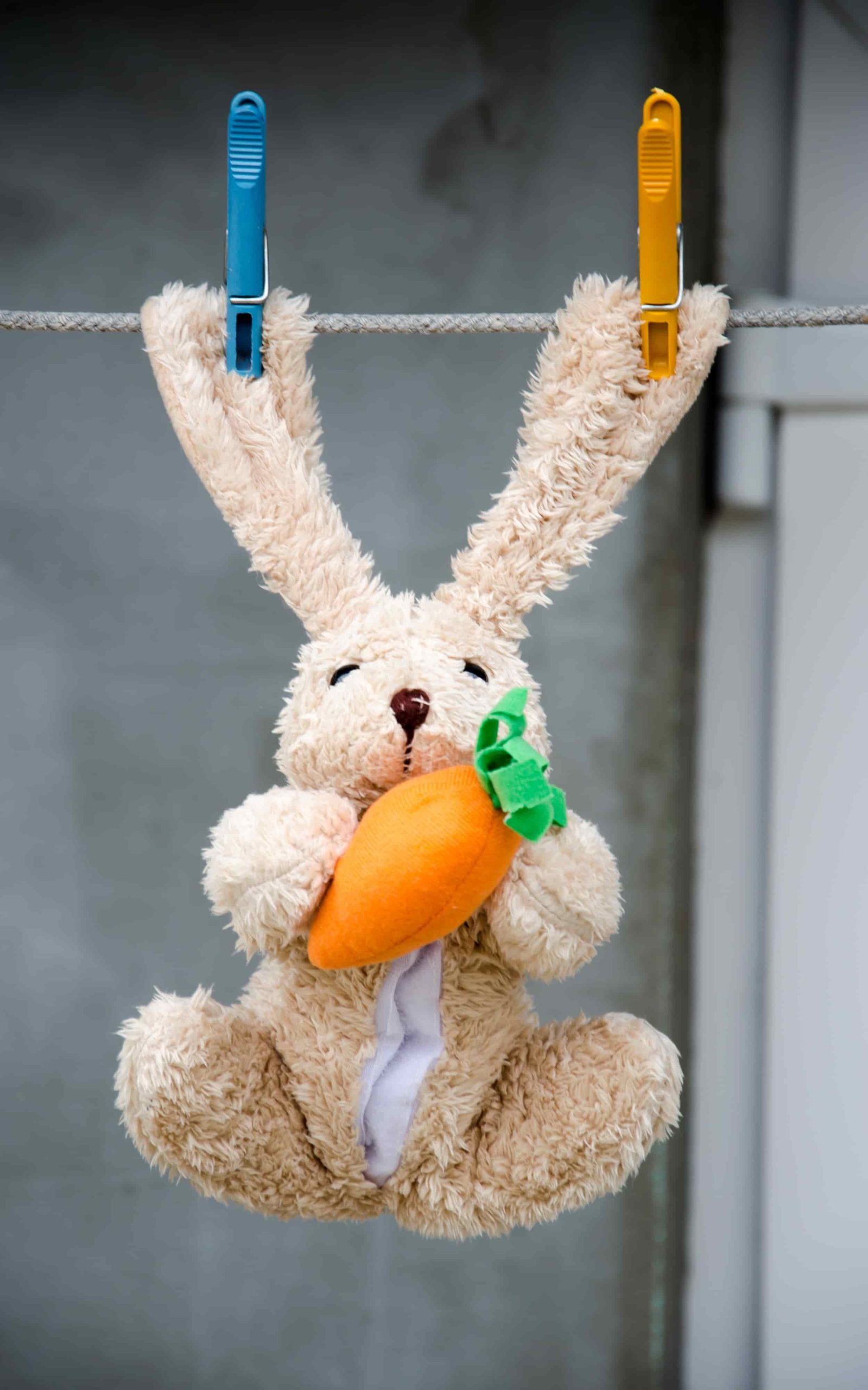 “cute And Cuddly: The Ultimate Guide To Taking Care Of Your Favorite Plush Toys”