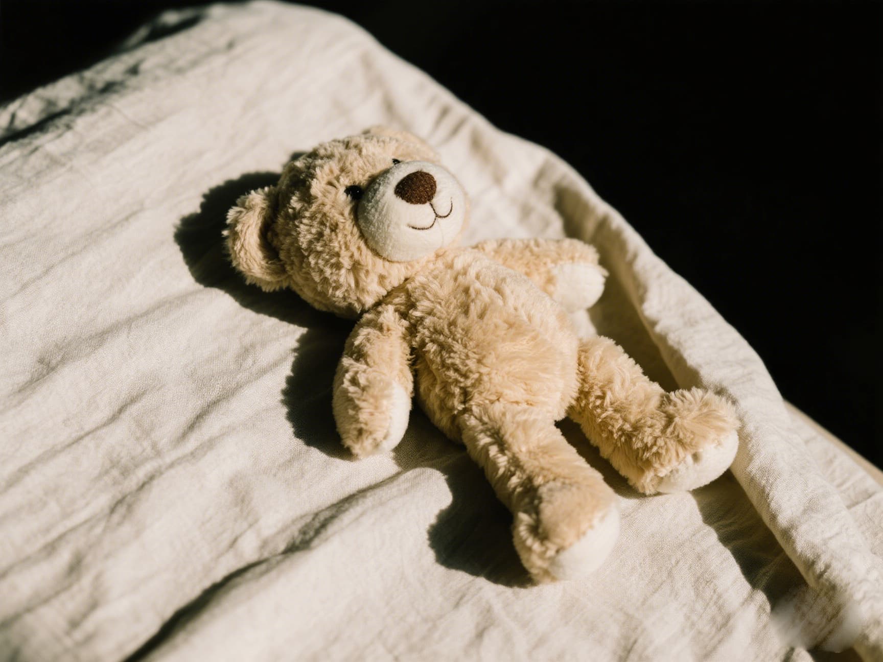 Stuffed Vs. Plush Toys: Key Differences Explained By A Leading Stuffed Toy Manufacturer