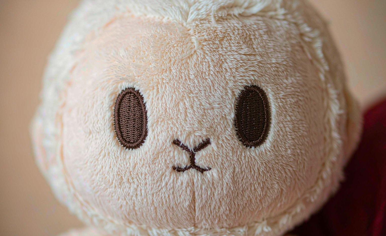 A close-up of a baby plush toy showing securely embroidered eyes and a stitched nose
